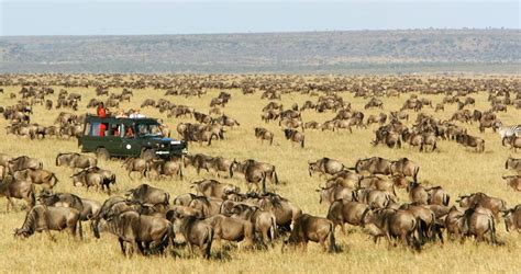 Masai Mara Safari Lodges in Kenya