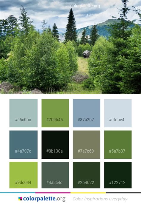 Spruce Color Palette ideas | colorpalette.org