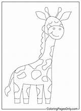 50  Tracing Coloring Pages Free Printable PDF JPG PNG & Online sketch template