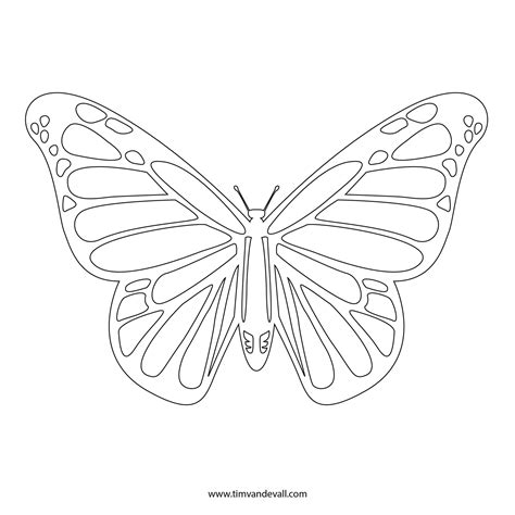 Free Butterfly Stencil | Monarch Butterfly Outline and Silhouette