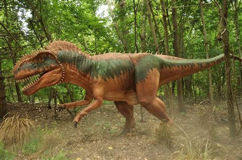 Megalosaurus - Facts and Pictures