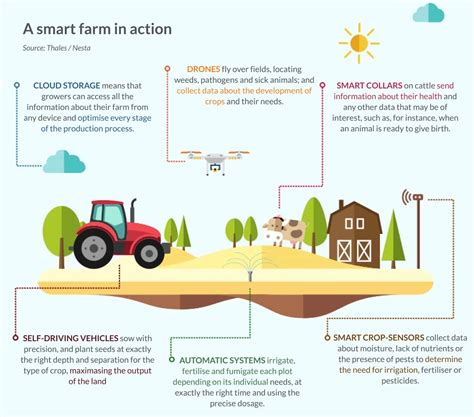 How to make the most of agriculture technology - N-iX