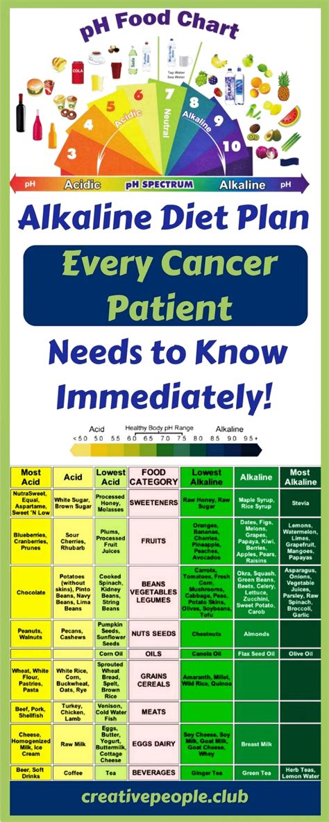 Alkaline Diet Plan – Every Cancer Patient Needs to Know It Immediately! – Creative People ...