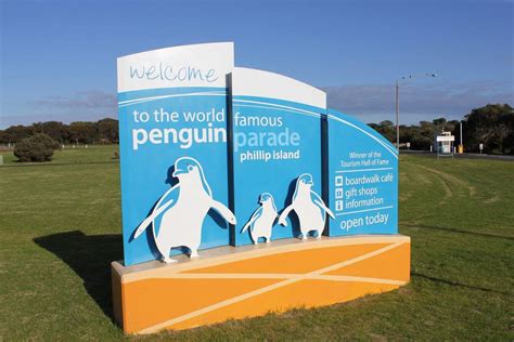 Phillip Island Penguin Parade - Fairy Penguins Discount Tickets & Prices