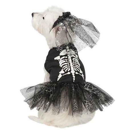 Casual Canine Glow-in-the-Dark Skeleton Zombie Dog Costume | BaxterBoo