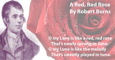 A Red, Red Rose - Prose & Poetry