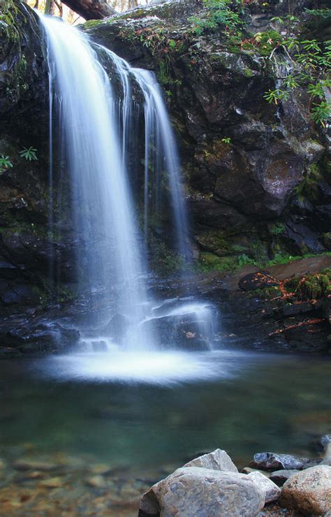 Grotto Falls Great Smoky Mountains Photograph by Shari Jardina