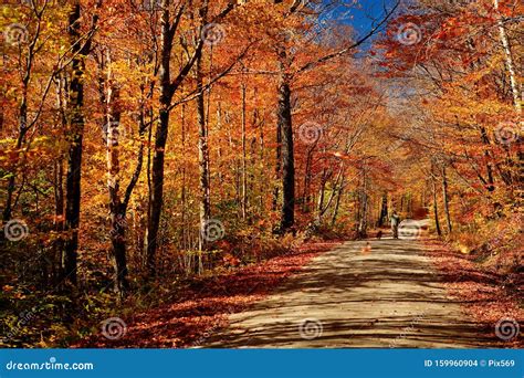 Lonely Vermont Road with Fall Colors. Stock Photo - Image of country ...