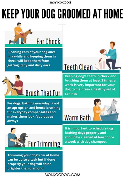 KEEP YOUR DOG GROOMED AT HOME - Monkoodog