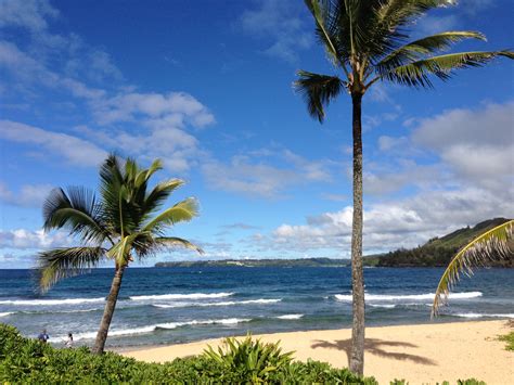 Beach in kauai | Beach, Beach waves, Pictures