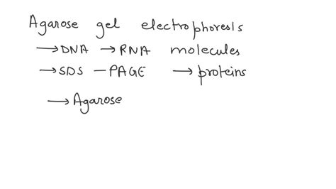 SOLVED: What is SDS-PAGE gel electrophoresis and compare it to agarose ...