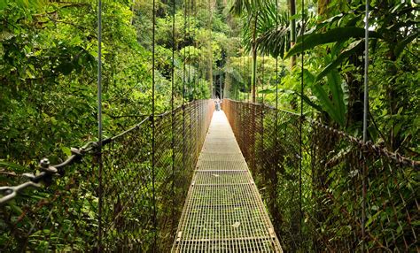 Tropical Ecology: Study in Costa Rica this spring! | The Buzz