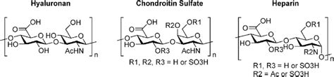 3 Structure of glycosaminoglycans. | Download Scientific Diagram