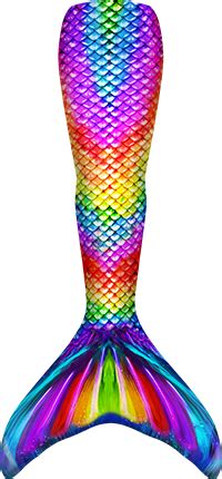 New Rainbow Reef Mermaid Tail – FinFriends