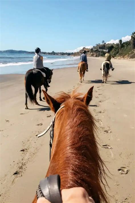 Horseback riding on the beach - Airbnb | Horse beach riding, Beach ...