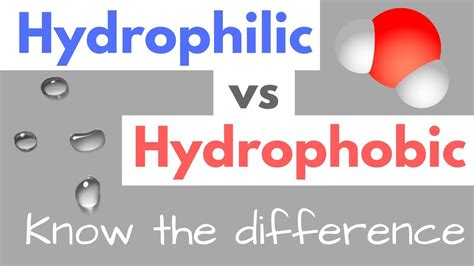 Hydrophilic vs Hydrophobic | Substances | Cell Membranes - YouTube