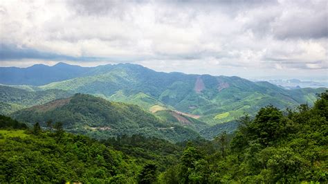 Hệ sinh thái rừng kín thường xanh lớn nhất vùng Đông Bắc - Báo Quảng Ninh điện tử