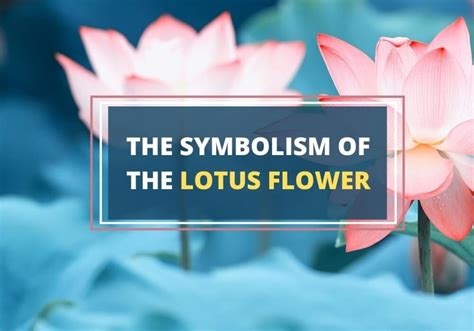 Lotus Flower Meaning: Purity, Enlightenment, and Resilience