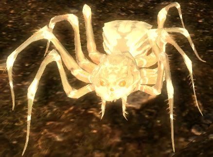 Albino Spider - The Elder Scrolls Wiki