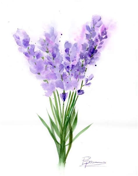 Buy Lavender painting, Watercolor by Olga Shefranov on Artfinder. Discover thousands of other ...