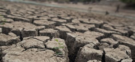 Spare A Prayer For The 33 Crore Indians Who Are Battling An Acute Drought