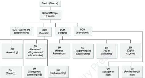 Accounting Organization Chart