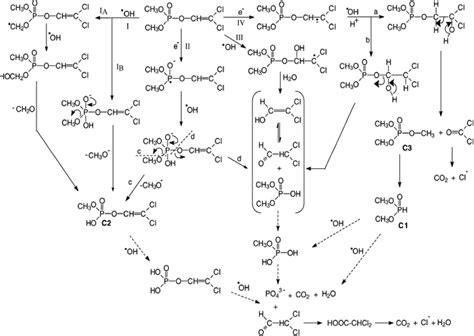 Degradation pathway of dichlorvos. [35] | Download Scientific Diagram
