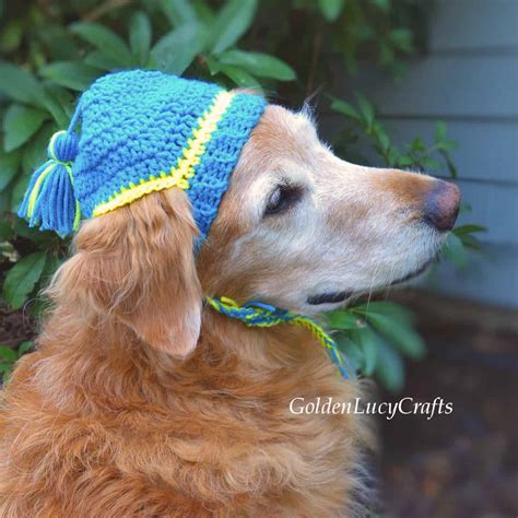 Crochet Dog Hat, Free Crochet Pattern - GoldenLucyCrafts