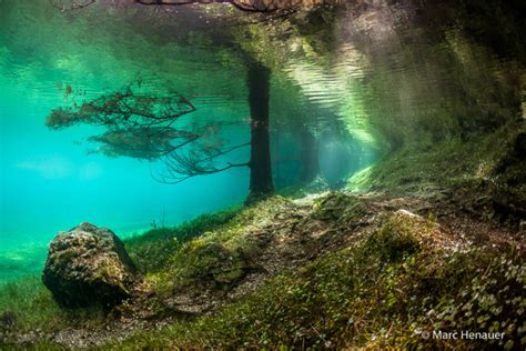 Grüner See(Green Lake)–The park that turns into underwater world