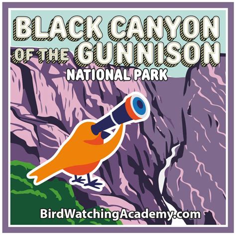 Bird Watching at Black Canyon of the Gunnison National Park - Bird Watching Academy