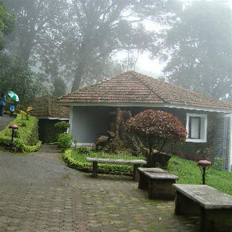 Munnar Luxury Hotels,Star Category Resorts,Deluxe Cottages,Homestays