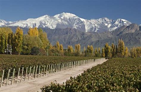 Romantic Vacation in Mendoza | VisitArgentina.net