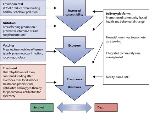 Buy Essay Papers Here - conceptual framework of research paper - 2017/10/08