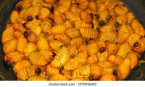 497 Sago worms Images, Stock Photos & Vectors | Shutterstock