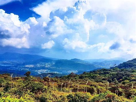 Pidurutalagala Mountain in Nuwara Eliya, Sri Lanka - TravelQL