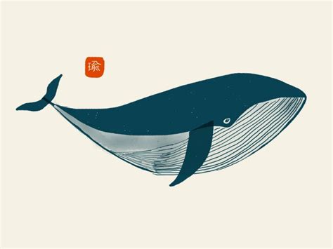 Whale | Whale illustration, Whale drawing, Illustration art