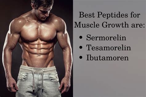 Best and Safest Peptides For Muscle Growth | Best HGH Doctors