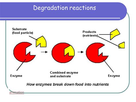 [DIAGRAM] Diagram Of Enzyme Reaction Involving - MYDIAGRAM.ONLINE