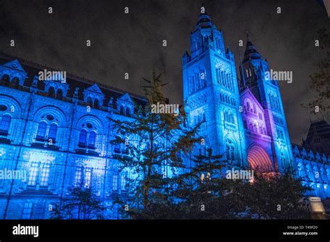 Natural History Museum at night - London Stock Photo - Alamy