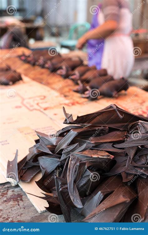 Bat meat on sell in market stock image. Image of grocer - 46762751