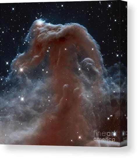 Horsehead Nebula Infrared