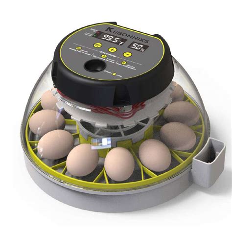 Best Automatic Egg Incubators in 2022