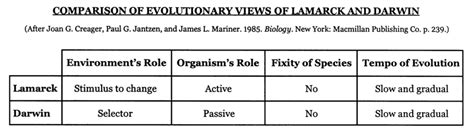 Major Nineteenth Century Theories of Evolution: Lamarck and Darwin ...