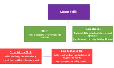 Down Syndrome Developmental Milestones and Physical Activity - Physiopedia