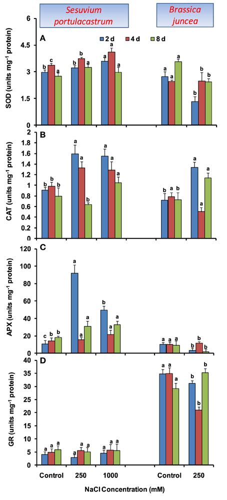 Frontiers | Salt stress reveals differential antioxidant and energetics responses in glycophyte ...