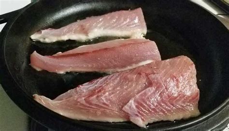 Bonito Fish Guide: How to Catch, Clean, & Cook Pacific Bonito