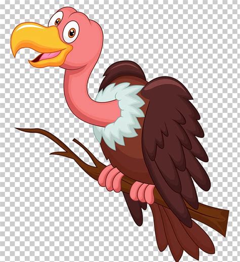 Bird Vulture Cartoon PNG, Clipart, Animals, Beak, Bird, Bird Of Prey, Cartoon Free PNG Download