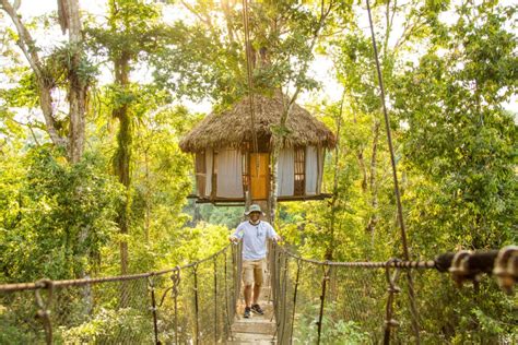 My Honest Experience Staying at the Treehouse Lodge in Peru