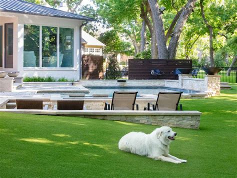 13 Pros vs. Cons Artificial Grass With Dogs | Grass Pros