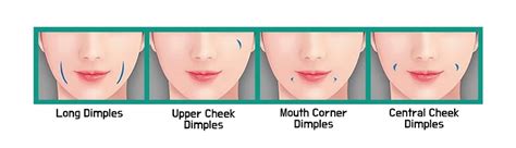 What Are Dimples Under Lips Called | Lipstutorial.org